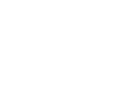 Evolution games at Dexter Bet Casino